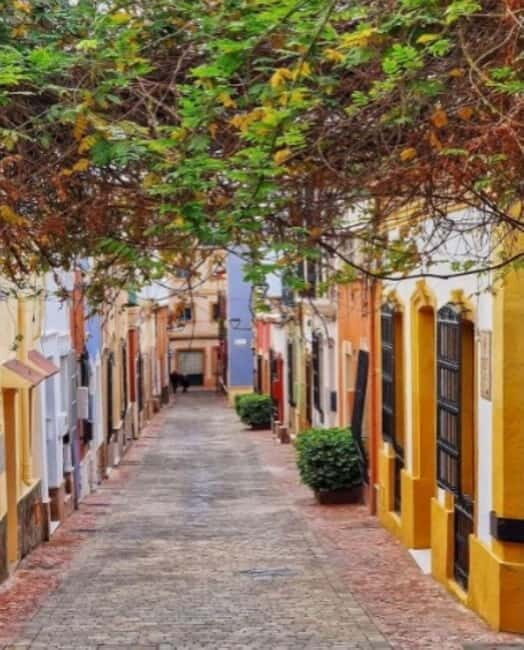 Centro histórico: un paseo por la historia. - What makes this tour stand out