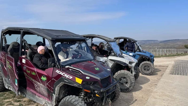 Champagne vineyards: 2-hour guided tour of the vineyards in a Buggy - A Closer Look at the Champagne Vineyards Buggy Tour