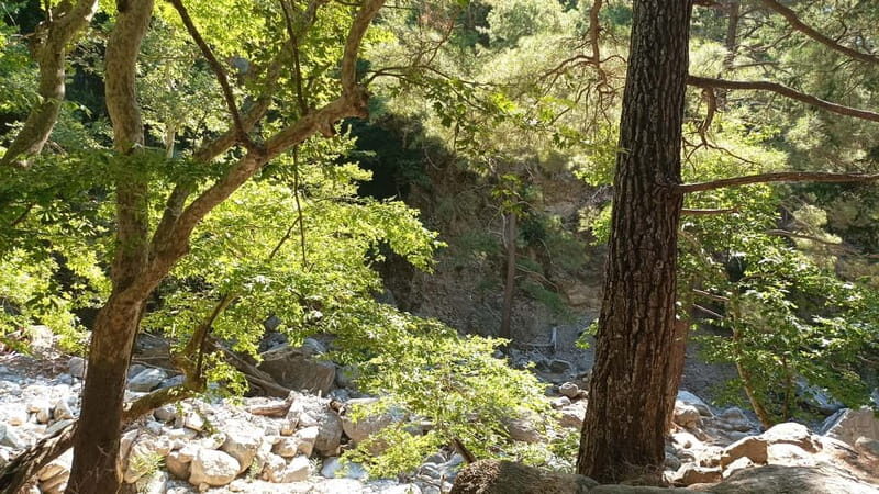 Chania: Samaria Gorge Private Transfer - Who Will Love This Tour?
