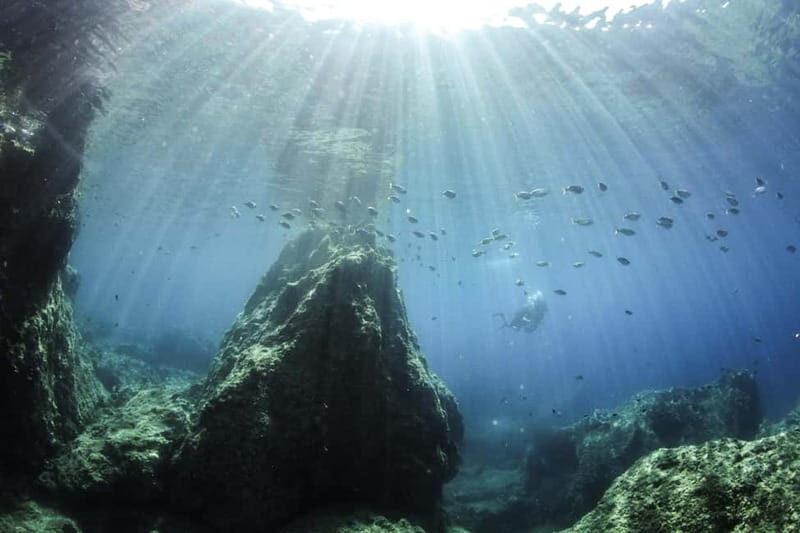 Chania: Scuba Diving and Snorkeling for Beginners by Boat - The Sum Up