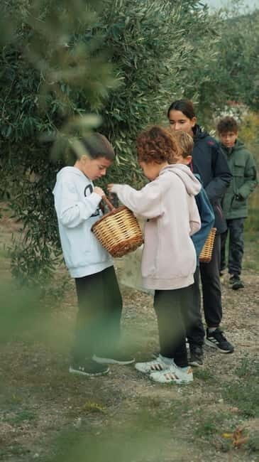 Chania Treasure Hunt : In olive Mill - Who Would Love This Tour?