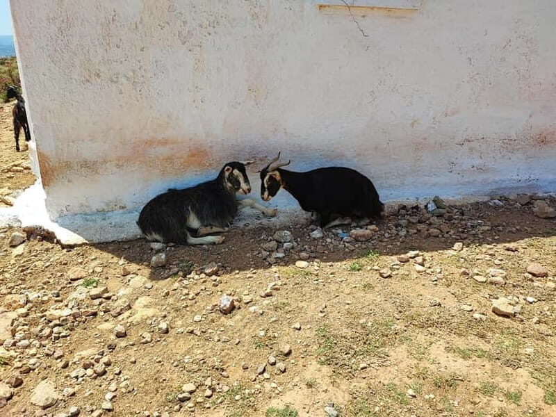 Chania:Balos&Falassarna Private Jeep Safari + Lunch&Loungers - Why this tour stands out