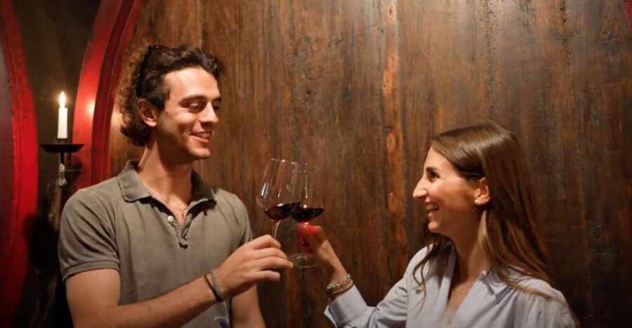 Chianti and Castles Tour From San Gimignano - A Deep Dive into the Experience