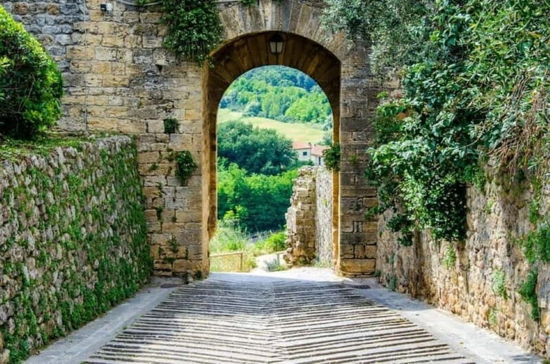 Chianti Half-Day Afternoon Tour from Florence - The Vineyard Visits and Tastings
