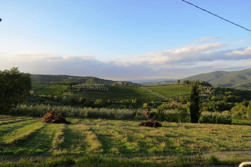 Chianti Hills: AppGuided eVespa Tour + Lunch in Greve - Who This Tour Is Best For