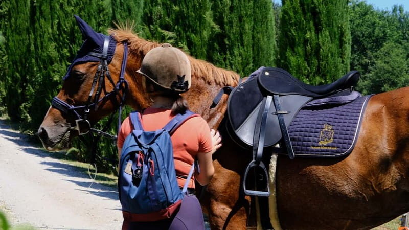 Chianti: Horseback Riding Through Vineyards and Woods - Summary: Is It Worth It?