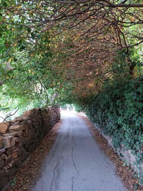 Chios: Kampos Private Walking Tour - An In-Depth Look at the Kampos Private Walking Tour