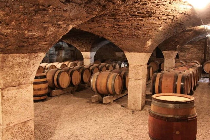 Cirò Marina: winery tour with tasting - The Experience in Detail