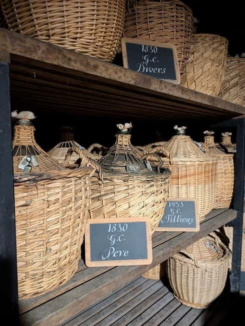 Cognac guided tour of the vineyard and visit/tasting at a winemaker's estate - Scenic Views and Photo Stops