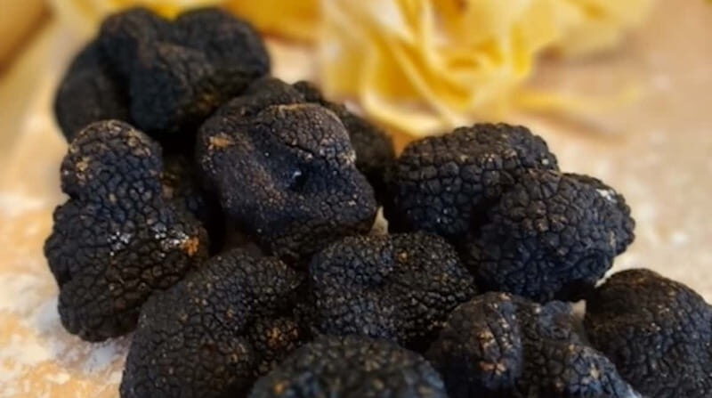 Cooking class of Spoleto recipes, with Chef Stefano - The Cooking Process and Atmosphere