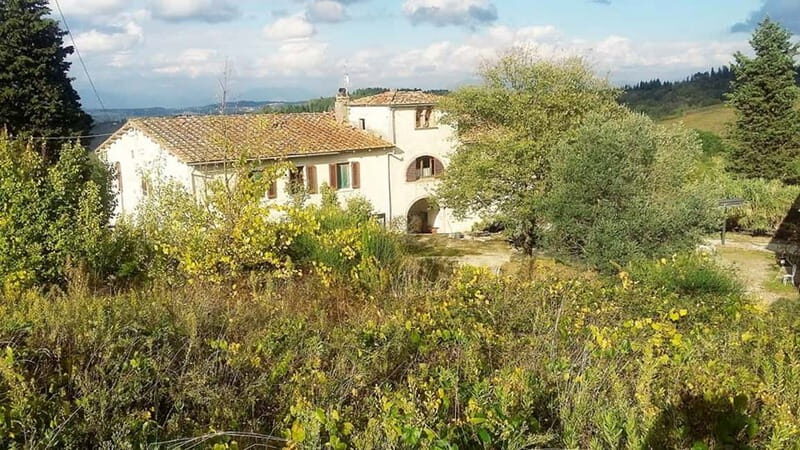 Cooking Class on a Traditional Tuscan Farm - Practical Details: What You Need to Know
