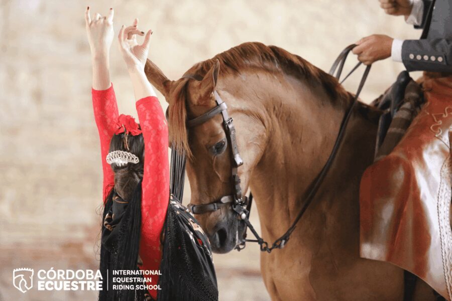 Cordoba: Equestrian Show General Entry - What the Reviews Tell Us