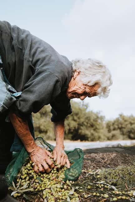 Corfu: Guided Olive Groves Tour with Olive Oil Tasting - Introduction: A Tasty Peek into Corfu’s Olive Heritage