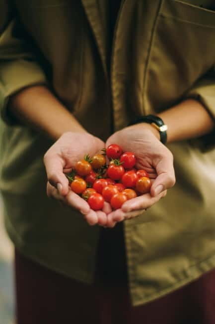 Corfu: Organic Farm and Olive Oil Tasting Tour - What to Expect
