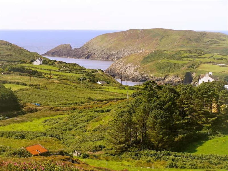 Cork: Fastnet Rock Lighthouse and Cape Clear Island Tour - Authentic Insights from Travelers