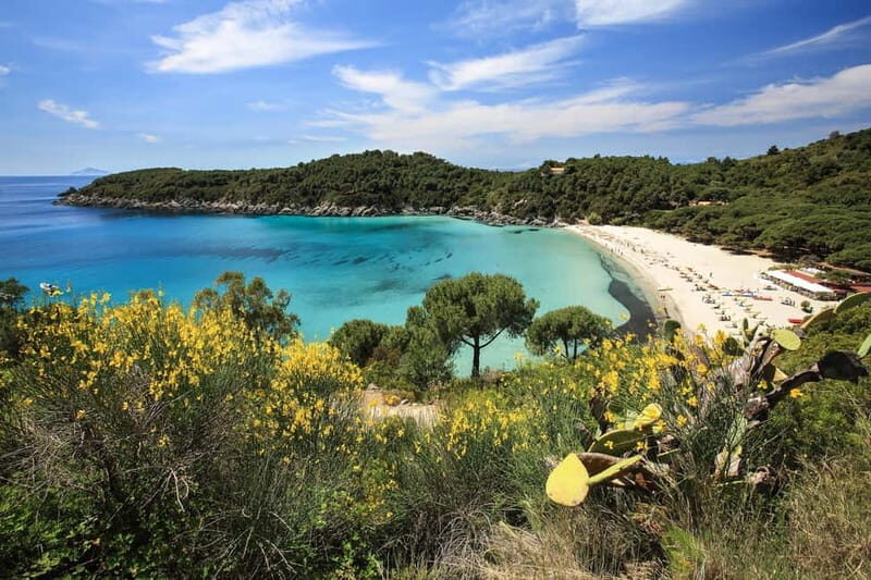 Costa del Sole Elba Island: Tour from Portoferraio and Lacona - Practical Details and Considerations