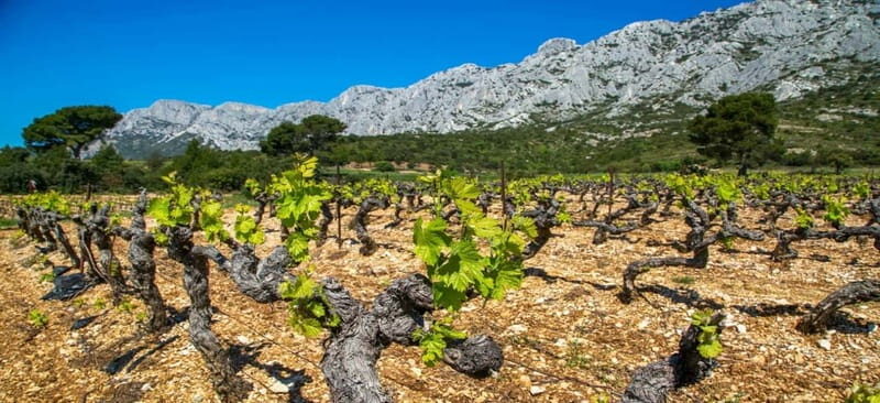 Coteaux d'Aix: Ste Victoire Wine Tour & Cezanne route - Who Should Consider This Tour?