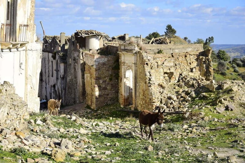 Craco Ghost Town & Amaro Lucano Museum Day Trip from Matera - A Closer Look at the Tour Experience