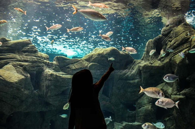Cretaquarium Tour - The Tour’s Value and What It Means for You