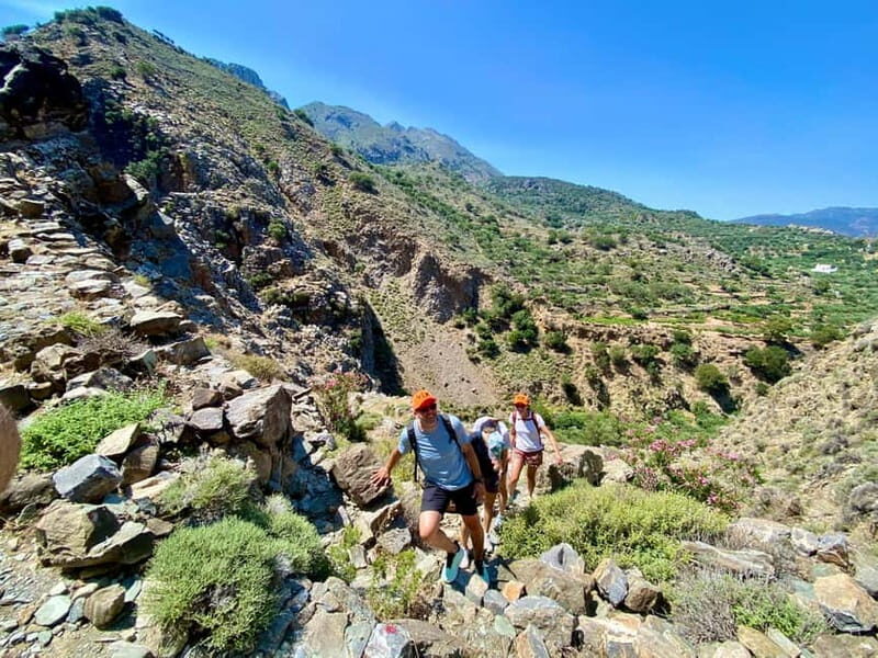 Crete: Guided Hiking Tour, Kavousi Canyon & Swimming - Who Will Love This Tour?