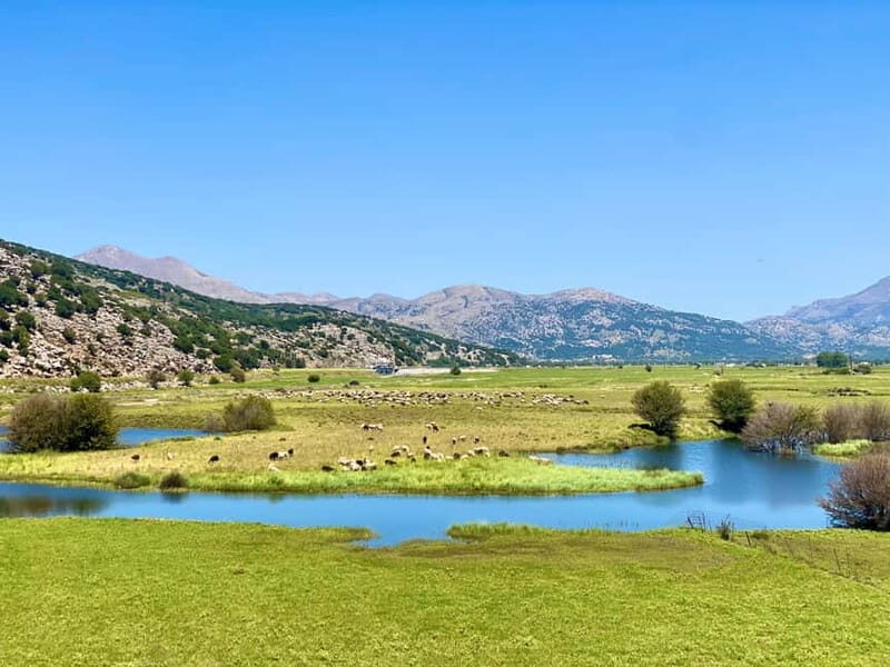 Crete: Lassithi Plateau Guided Hiking Tour - The Practicalities and Value