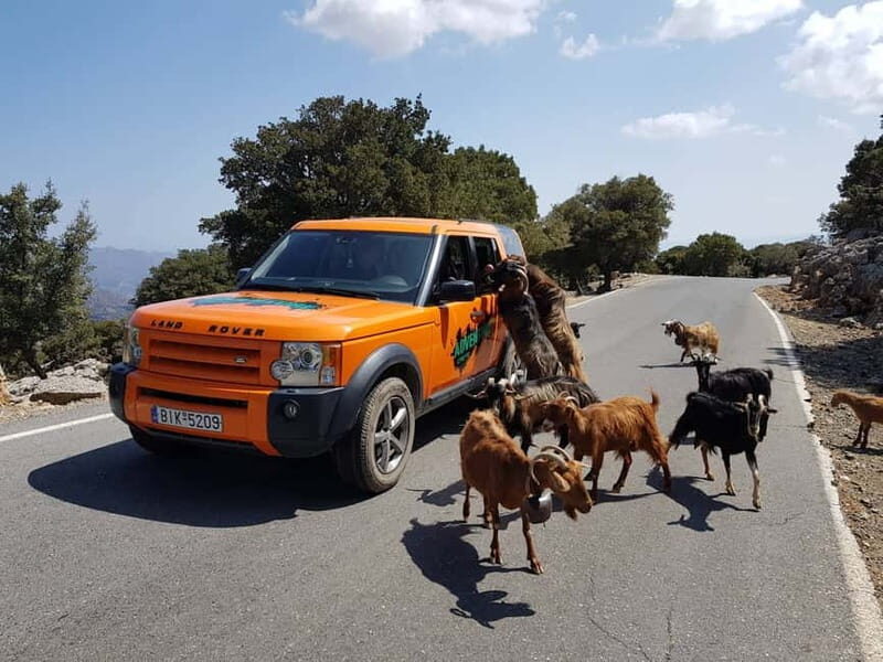 Crete: Sarakina Gorge, Forests, and South Coast Safari - Logistics and Practicalities