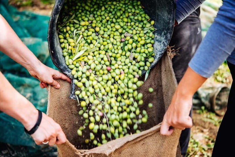 Crete: Sunset & Flavors of Crete Tour in the Countryside - Practical Details & Experience