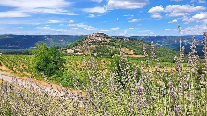 Croatia, Istria: 7-Day Premium Cycling & Gourmet E-Bike Tour - Who Will Love This Tour?