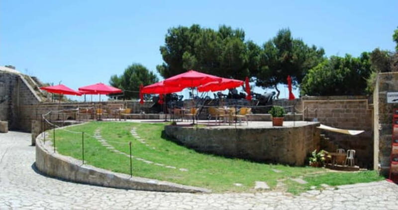 Cultural & gastronomic package: San Carlos Museum + Pa amb oli & Sangria - Who Will Love This Tour?
