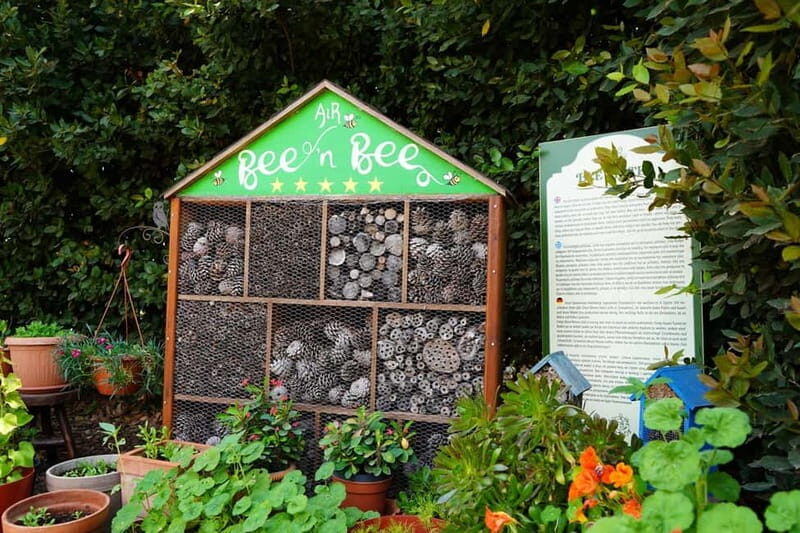 Cyprus: Herb Gardens and Maze in Cyherbia Botanical Park - How the Tour Unfolds