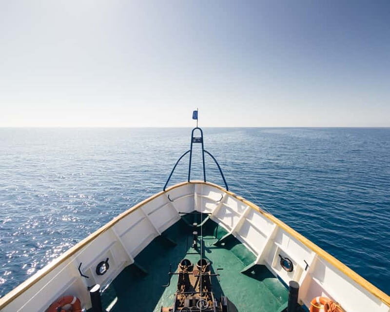 Cyprus: Odyssey Boat Safari from Larnaca to Protaras - Detailed Itinerary and What You’ll Experience