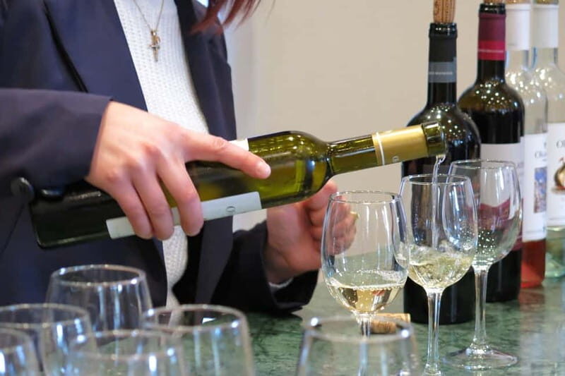 Cyprus: Troodos Mountain Food & Wine Tasting Tour with Lunch - Transportation & Logistics