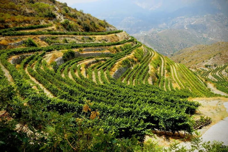 Cyprus: Troodos Mountain Wine Tour with a Local - The Itinerary: A Closer Look