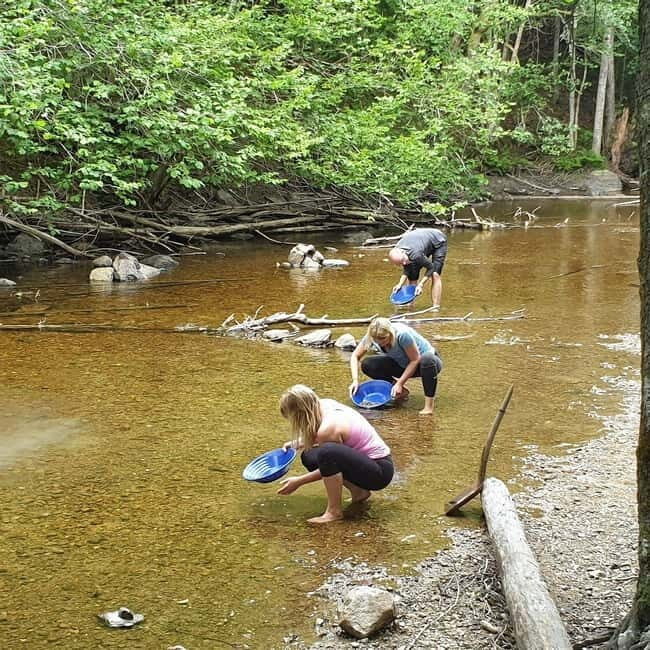 Dals Långed: Gold Panning Experience - The Itinerary and Experience Breakdown