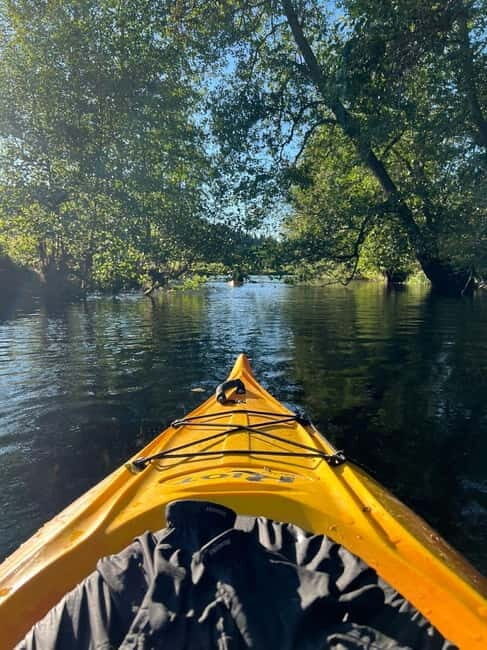 Dals Långed: Steneby River Kayaking Tour - Discovering the Scenic Steneby River