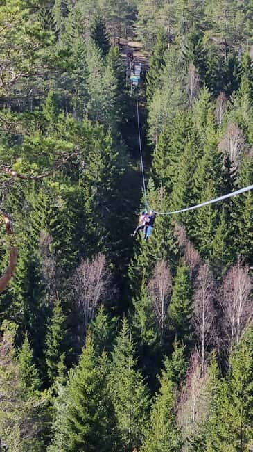 Dals Långed: Zipline Adventure at Steneby Gård - The Practical Side: What You Need to Know
