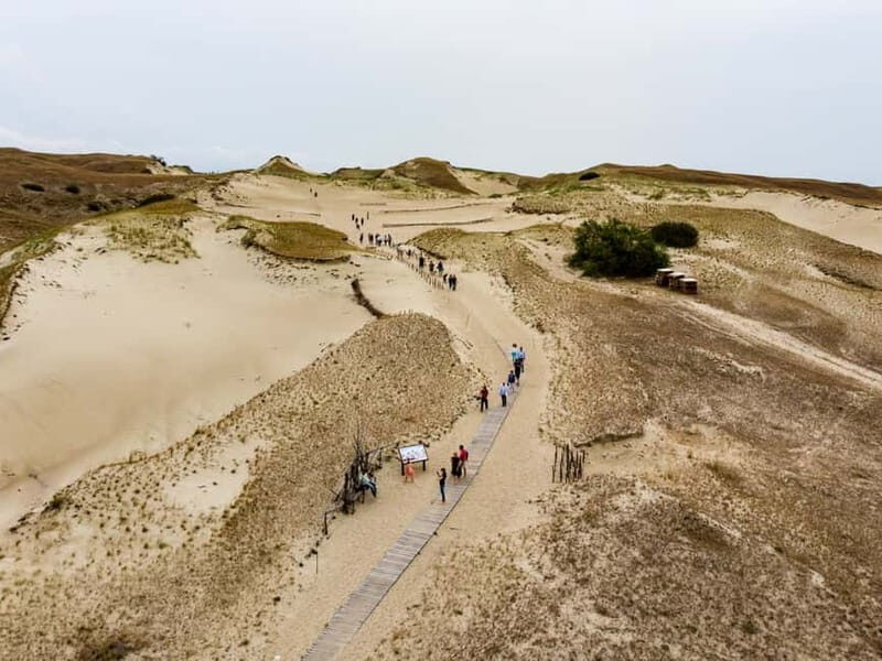 Day Group Tour: Curonian spit (Neringa) from Klaipeda DFDS - What Travelers Say