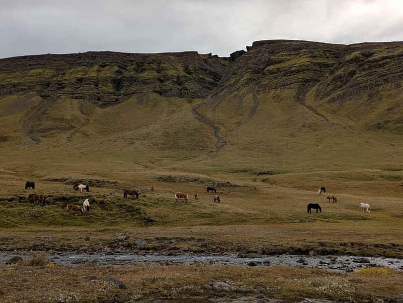 Day Hike to Grimannsfell: Waterfall & Legacy - moderate - What Travelers Can Expect