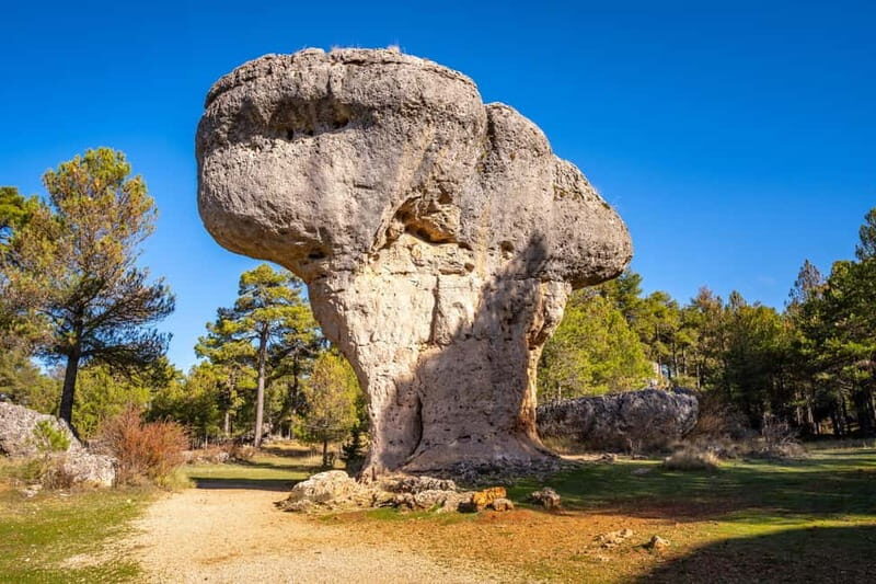 Day Trip from Madrid to Cuenca and the Enchanted City - Who Will Enjoy This Tour?
