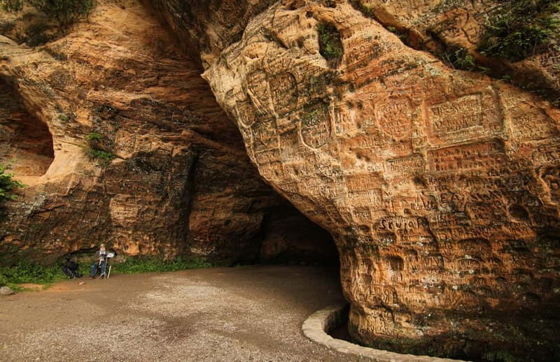 Day Trip To Gauja National Park: Animals, and Castles - What to Expect from This Gauja National Park Tour