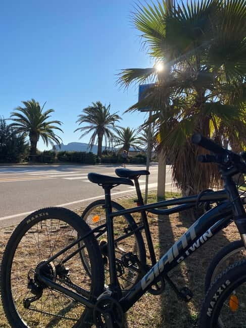 Delivery bike for 6hours Castello/Molentargius/Poetto/Quartu - What to Expect During Your 6-Hour Bike Ride