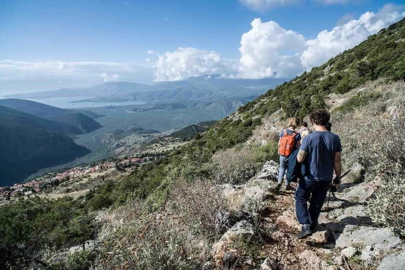 Delphi: Ancient Footpath Guided Hike - The Practicalities and Logistics
