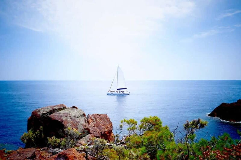 Denia/Jávea: a day at sea with paella on Isla Portitxol - Practical Details & Value  