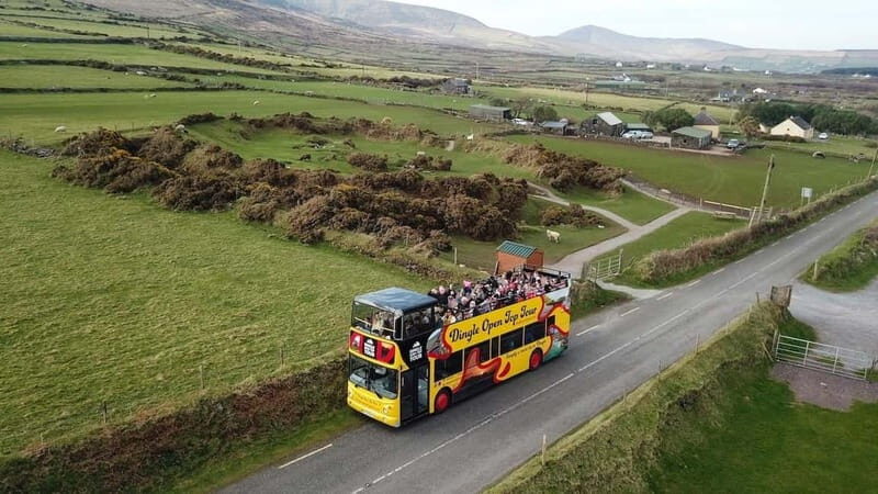 Dingle: 3 Hour Open-Top Bus Tour with Multiple Stops - The Practicalities