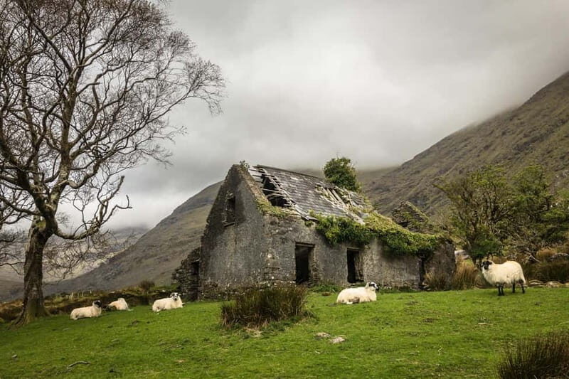 Dingle: 5-Day Photography Tour & Workshop - The Locations and Their Photographic Potential