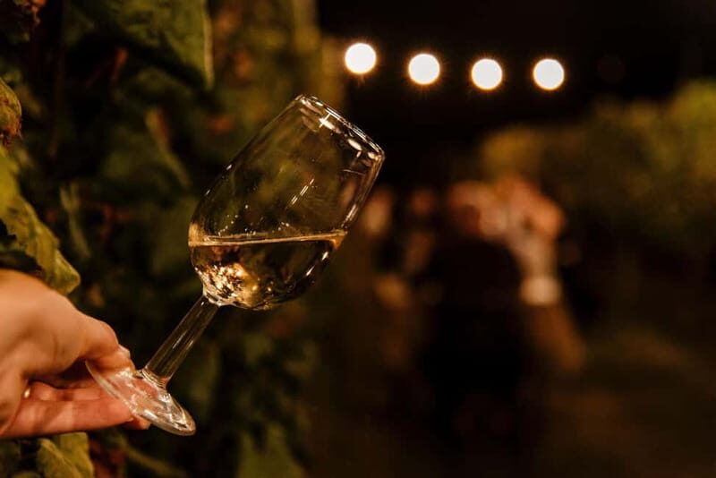 Dinner in the vineyard in Alba with wine tasting aperitif and winery tour - An In-Depth Look at the Experience