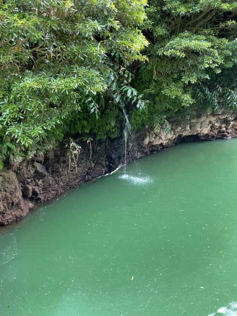 Discover and Hike São Miguel with Rúben - The Itinerary: What You Can Expect
