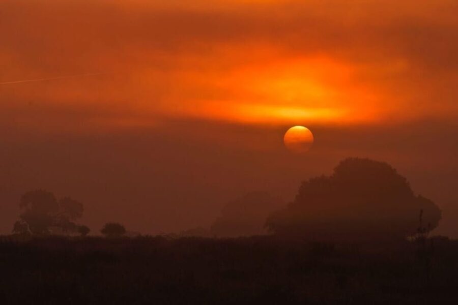Discover Doñana & Iberian Lynx: Premium Nature Tour - Who Should Consider This Tour?