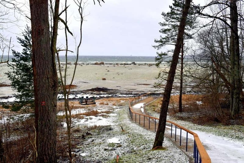 Discover Estonia-car tour from Tallinn to Keila-Joa Waterfal - Who Should Consider This Tour?
