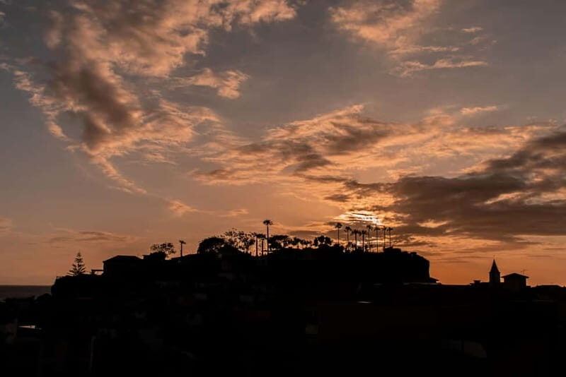 Discover Madeira in your own way: Private full-day tour - The Itinerary: What to Expect
